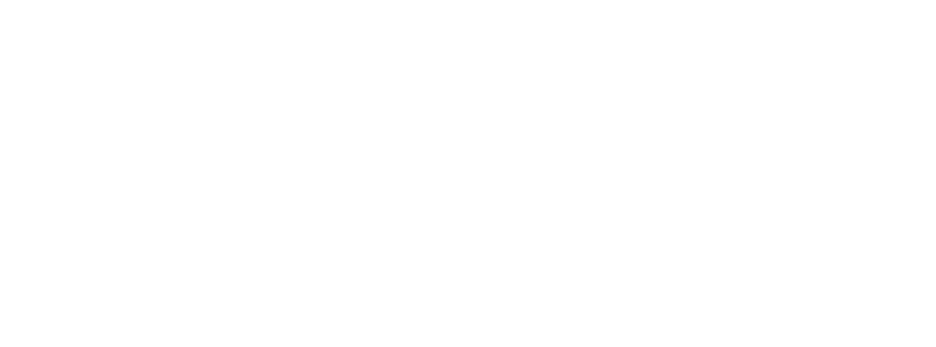 nakasawa-white-logo